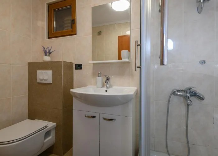 Ivan Apartamento